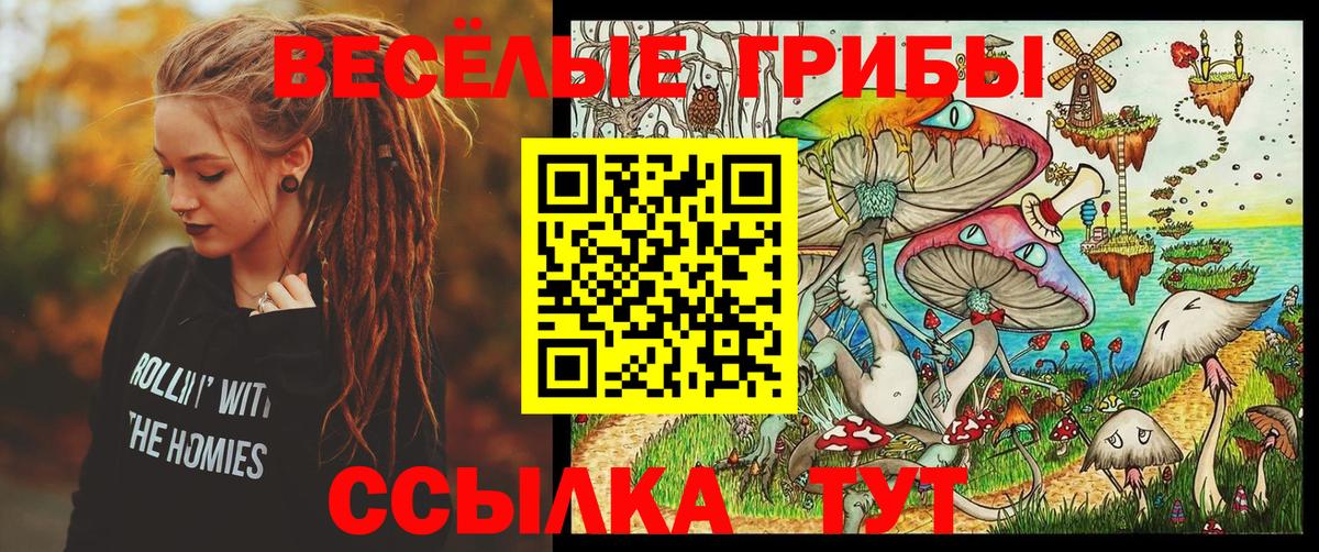 Галлюциногенные грибы Psilocybine cubensis Малоярославец