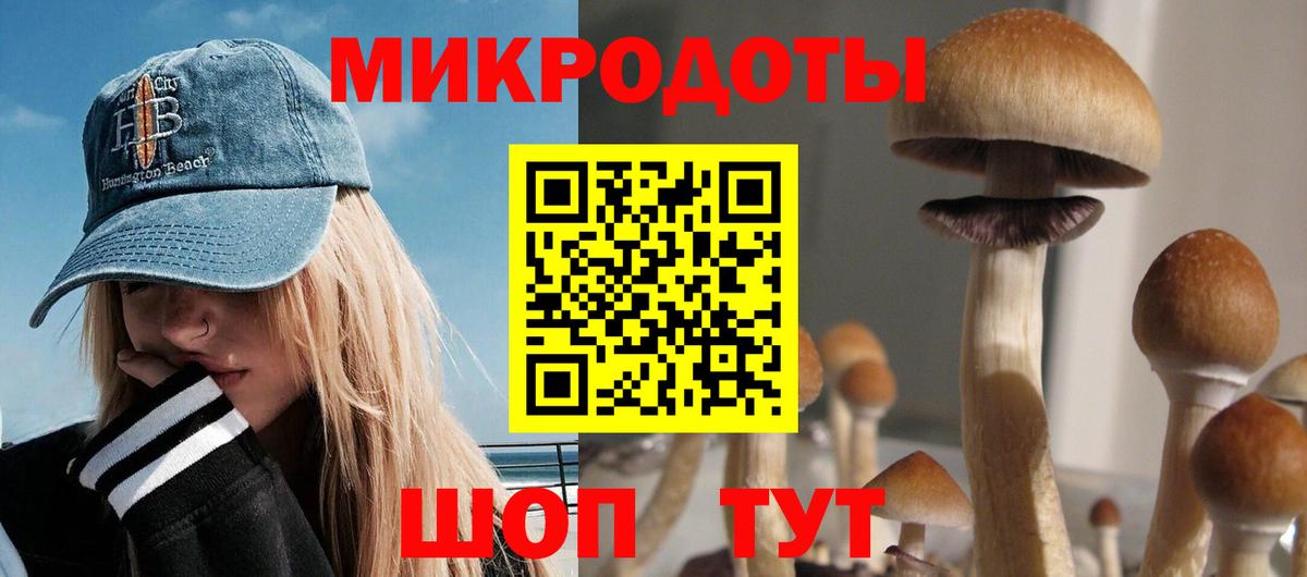 Малоярославец  Галлюциногенные грибы Psilocybe  Псилоцибиновые грибы ЛСД  наркотики  Вход с VPN 